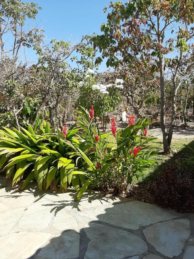 Estancia Morro Do Frota Pirenopolis Ngoại thất bức ảnh