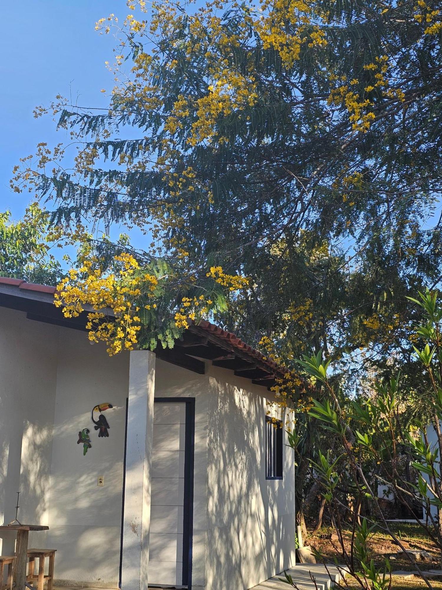 Estancia Morro Do Frota Pirenopolis Ngoại thất bức ảnh